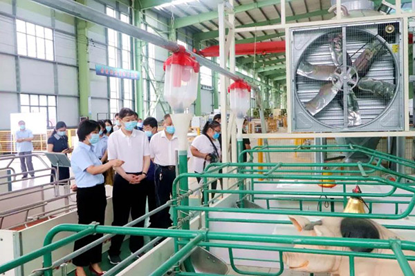 市人大常委會副主任胡建輝一行深入瑞航農牧調研指導工作